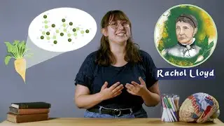 Dr. Rachel Lloyd: The Science of Sugar
