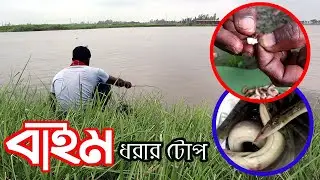 নদীতে বড়শি দিয়ে বাইম মাছ ধরার টোপ ও জায়গা নির্বাচন | Catching Baim Fish by the Hook from River