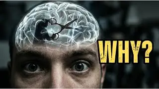 Why Your Brain is Programmed to Destroy Your Happiness