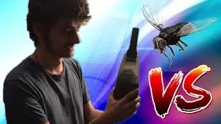 Andrew Prep vs a Fly