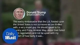 Trump: UK ambassador 'a very stupid guy'