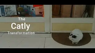Short film
