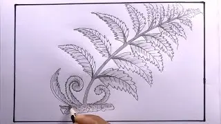 How To Draw Fern Easy/Fern Drawing