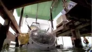 A View From Below Trailer