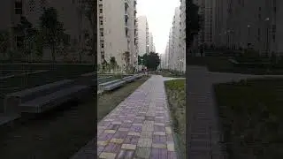 Sarojini Nagar quarters are not built properly according to me #youtubeshorts #shorts #sarojininagar