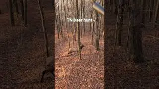 Tennessee Deer Hunt