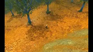 Level 16 hunter