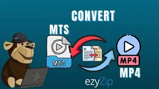🎥 How to Convert MTS to MP4 Online Free | Convert AVCHD Camera Files Easily