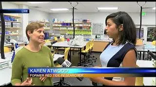 Video: ABC7 talks to Former red tide researcher