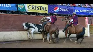 Remate Caballos Raza Chilena - 20/11/2025