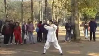Wudang Kungfu&mdash;long hua quan(Dragon From-Master Chen shixing)
