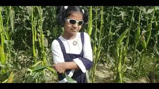 Organic Farm Abudhabi / Farm 182 Al Rahba /Al Rahba farm Abudhabi