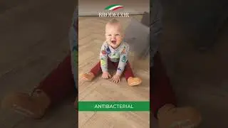 ✨ SPC Flooring | Waterproof & Durable Floor Covering | BroDecor