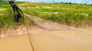 Fish Cast nets along the river to find fish to cook.😱😱👉🐟🐟🐟