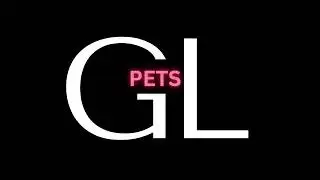 The Ultimate Guide to Responsible Pet Ownership | GL PETS