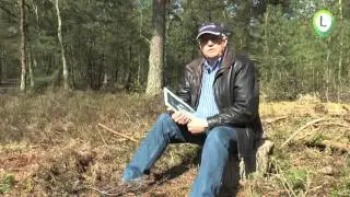 Crashplaats Mosquito op de  Wezeper Heide