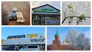 VLOG 04.02.2025г город Тула/ Тульский кремль/ Садовый центр Хомяк/ Лимана Про/ Наши покупки/ Фикусы