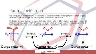 GENERALIDADES DE QUIMICA DE LOS AMINOÁCIDOS