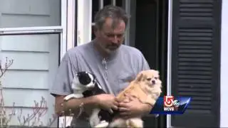 50 dogs rescued from kennel fire