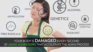 Nu Skin Pharmanex:  What&rsquo;s AgeLoc Youth?