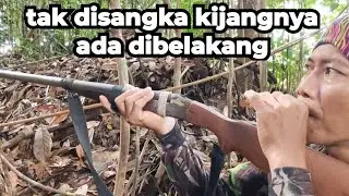 HUTAN BORNEO II MUNCUL DI BALIK II manggil rusa beneran menegangkan karena sudah lama tidak diburu