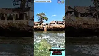 Therapeutic Boat ride Adventures To Pahali Pazuri Beachfront Hotel On Wasini, Kwale County, Kenya