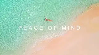 Indra - Peace Of Mind (Reality Shock Records)