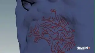 Houdini VEX infection