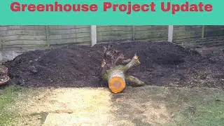 Greenhouse project update| Backyard fruit and vegetable growing| #Cumbrian Homestead| #grow your own