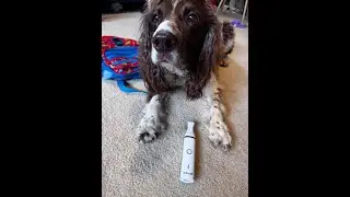 ONEISALL Cordless Dog Clippers Review