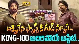 అక్కినేని ఫ్యాన్స్ కి గుడ్ న్యూస్..| Good News For Akkineni Fans | Nagarjuna | Nagarjuna 100th Movie