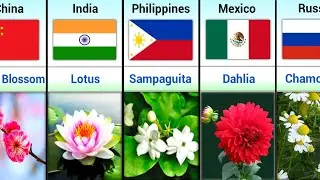 National Flower of Different Countries