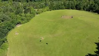 Derwent Country park by drone