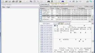 Tutorial: Digital Forensics with Winhex Part 2