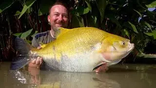 Fishing in Thailand @ Jurassic Mountain Resort and Fishing Park: Thomas lands a tambaqui