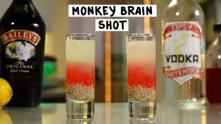 Monkey Brain Shot