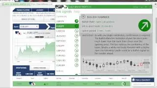 $425.00 with Daily Binary Profits (DBPv7) | BInary Option Signals