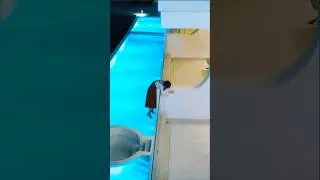Funny escape scene 🤣#cdrama #funnyscene #fallingforher #trending #ytshorts #shorts #protectivehero