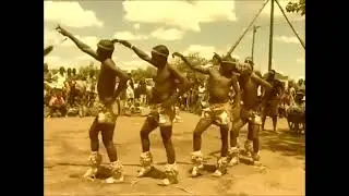 Shumba Ratshega   Dikgafela