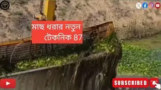 মাছ ধরার নতুন টেকনিক Part 87 #Fish #viralvideo #shortvideo #short  @Roadplanet @Rcrcrc @theRealRC