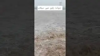River Ravi Flood 2025 #raviflood #flood #explorepakistan #explore #desisafar #travelpakistan #short