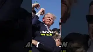 Trump Assassination Plots: Examining the Latest Claims