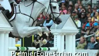Horse Jumps - Horse Jump Standards Premier Equestrian