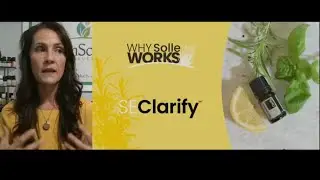 Why Solle Works 9-26-23 -SE Clarify