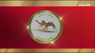 ش18 وابل لـ سعيد سلطان عبدالرحمن القحطاني (مهرجان الشيخ محمد بن زايد 25-12-2025) حقايق قعدان 6:04:23