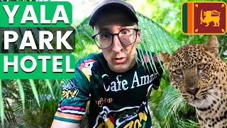 Where to Stay Near Yala National Park? (Cheap & Good) 🇱🇰