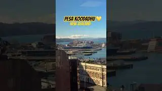 💛Paarkum paarvai nee🇳🇿 #newzealand #nztamilvlogger #nztamil #newzealandtamilvlog #cityview