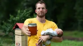 Our First Honey Harvest - New Zealand Homestead
