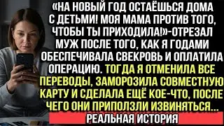 «На Новый год остаёшься дома!Мама против тебя»сказал муж.Я отменила все переводы и сделала кое-что