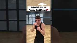 Dodge This Punch